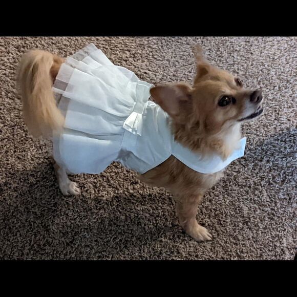 Stay positive, share, bundle, - Picture 10 of 16